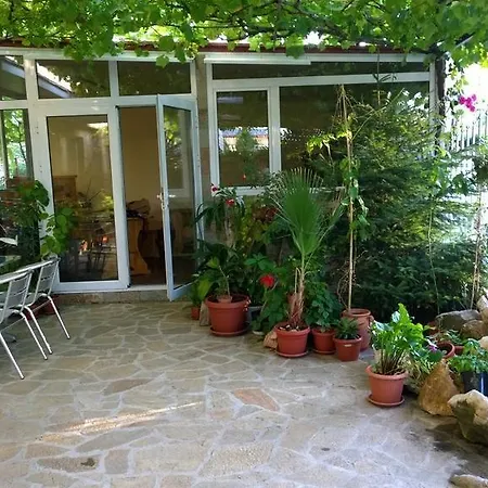 ゲストハウス House Of Flowers アフトポル