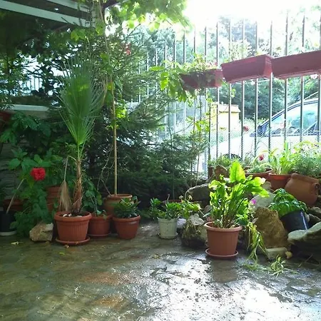 ゲストハウス House Of Flowers