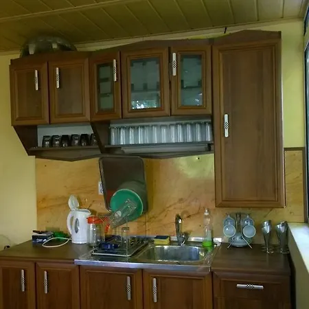 House Of Flowers ゲストハウス 3*